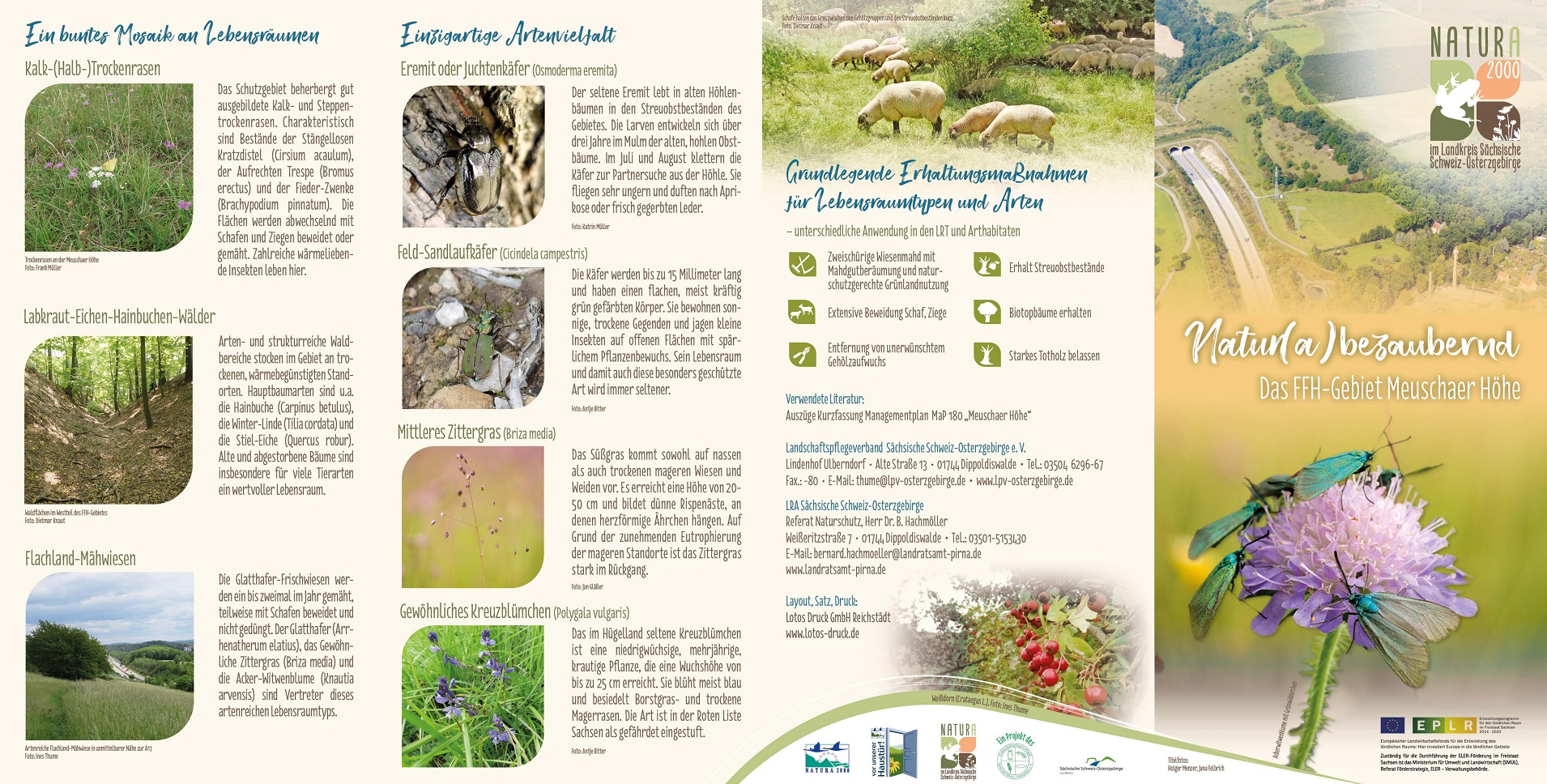 tl_files/downloads/Bilder Projekte/Projektstellen/Natura 2000 1.0/Flyer/Meuschaer_Hoehe_1.jpg